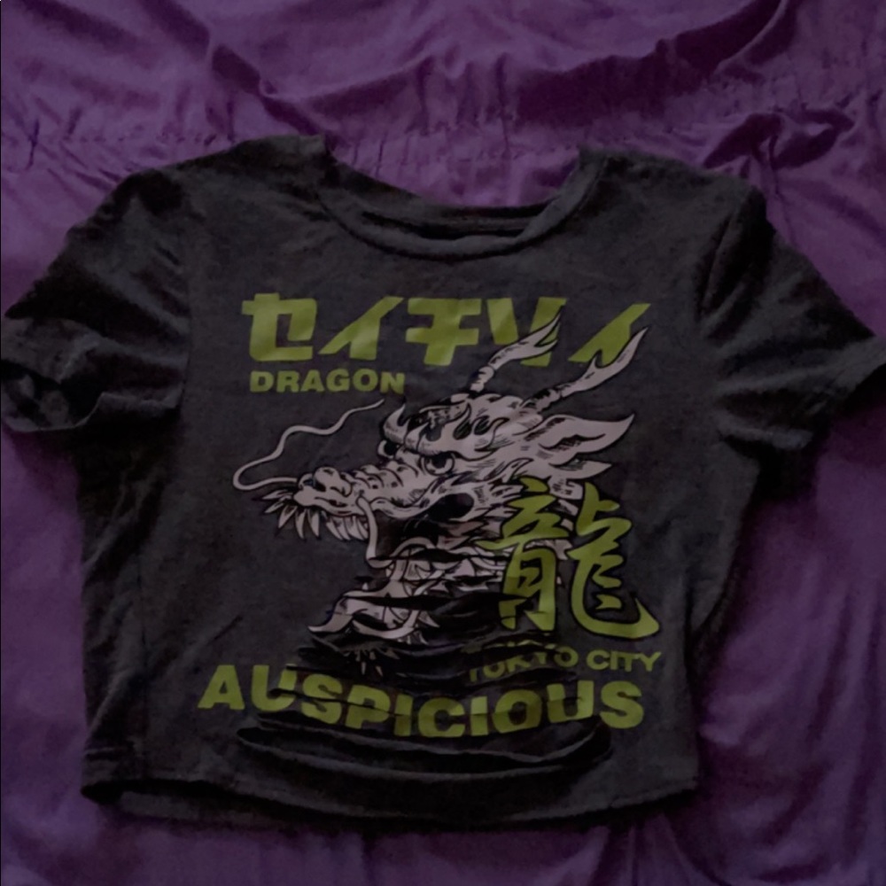 Dragon crop top